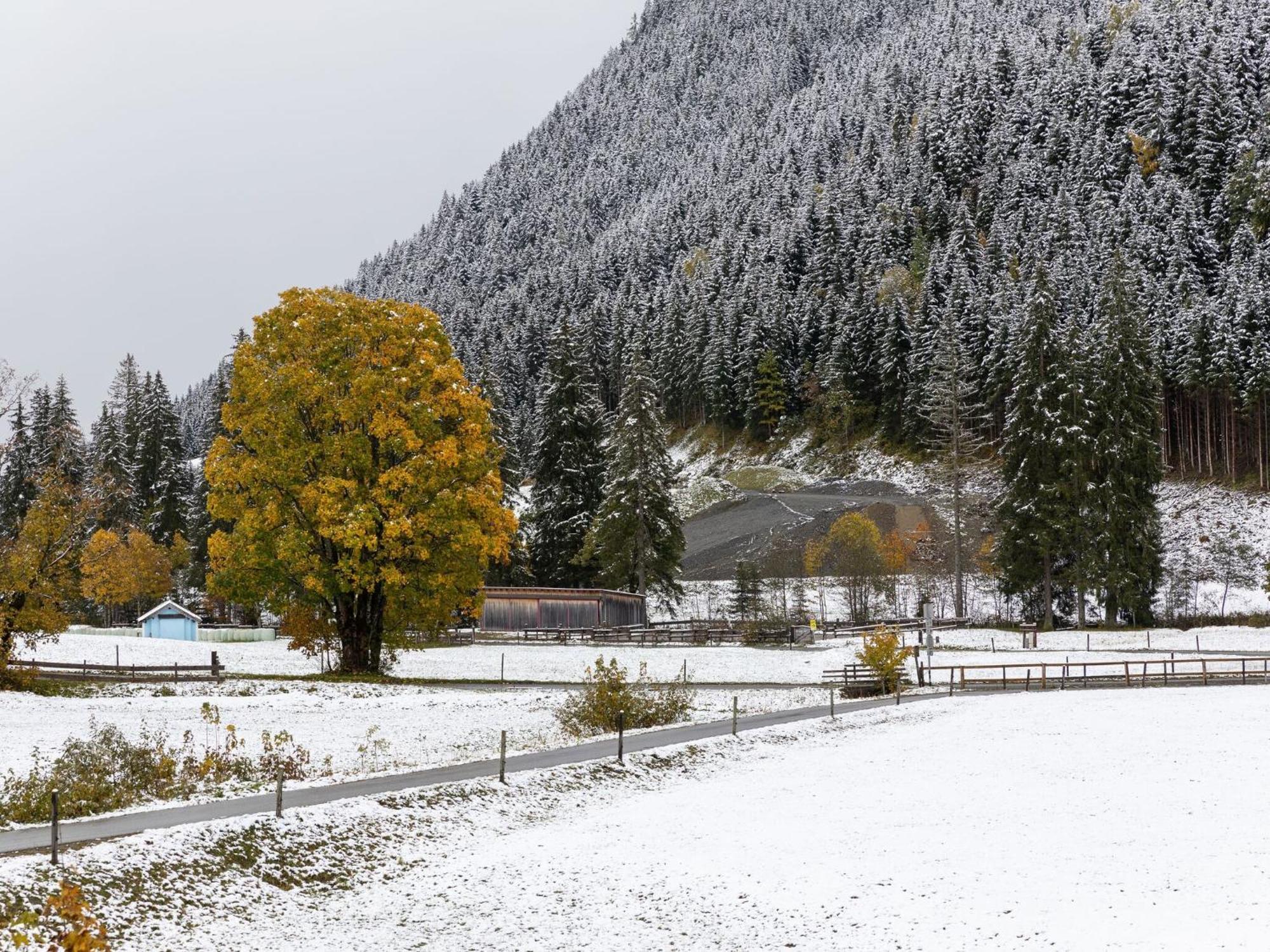 Chalet Apartment In Saalbach Hinterglemm المظهر الخارجي الصورة